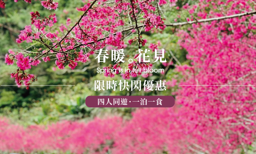 限時優惠｜春暖．花見 ► 泉思家庭套房