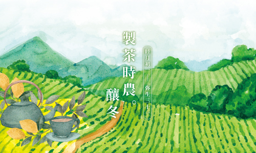 季節住房｜製茶時農。釀冬