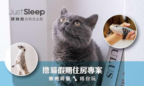 【撸貓假期】療癒萌寵 陪你玩 住房專案
