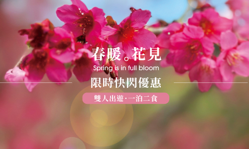 限時優惠｜春暖．花見 ► 雅緻客房