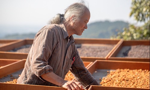 2026 Da Chu Coffee  Estate Package