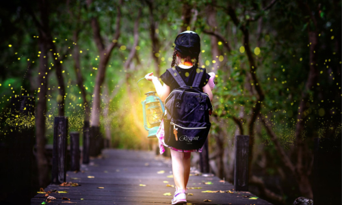 螢火蟲之夜丨春夜賞螢假期