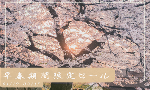 【Pay at Hotel/Limited Time】Early Spring Early Bird Flash Sale in Osaka Shinsaibashi (Room Only)