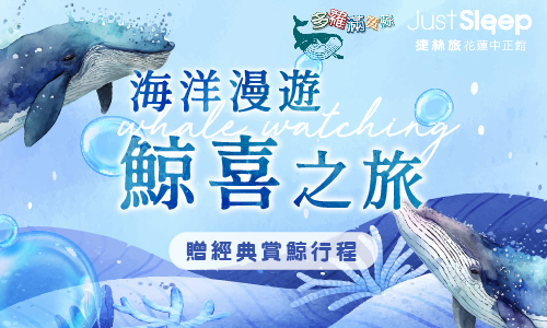 海洋生態漫遊  鯨喜之旅►贈經典賞鯨行程