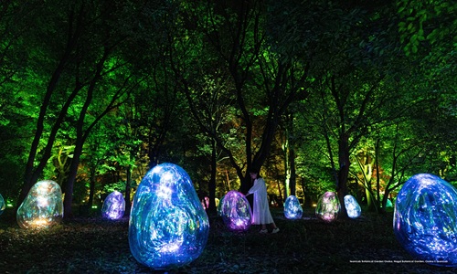 TEAMLAB JUST ART专案-含早