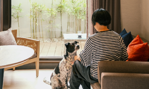 【休閒客房】與喵汪趣旅行．一泊二食住房專案