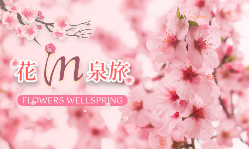 【花 in 泉旅】► 兩天一夜 贈花季限定好禮