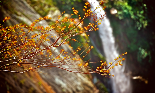 【The Resort】Autumn to Winter Getaway Package