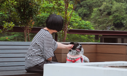 【The Retreat】Chinese New Year with Your Pet．Two Days One Night with Breakfast and Dinner Package