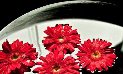 【休閒客房】擁夏．輕旅行(含早餐)專案